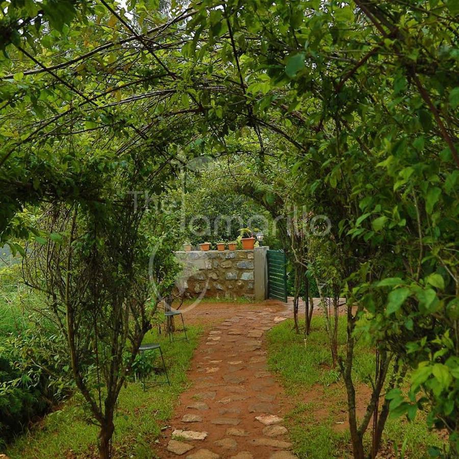 Bed and Breakfast The Tamarillo Уті Екстер'єр фото
