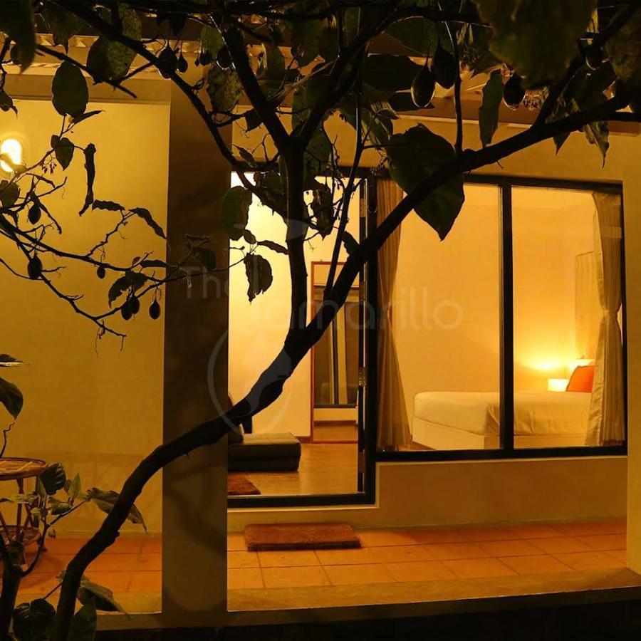 Bed and Breakfast The Tamarillo Уті Екстер'єр фото